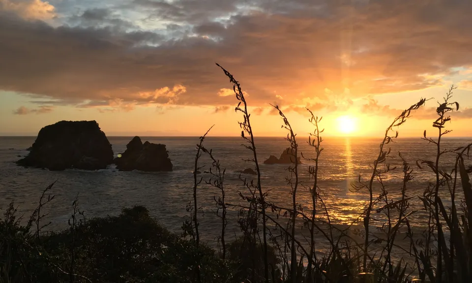 Cape Foulwind, West Coast