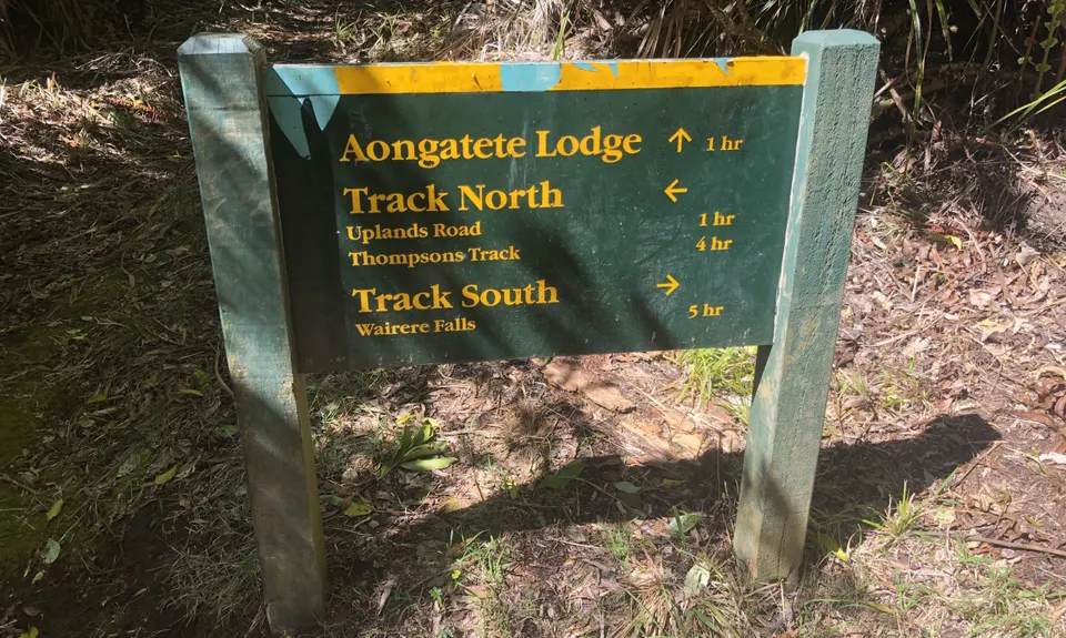 Aongatete Loop, Bay of Plenty