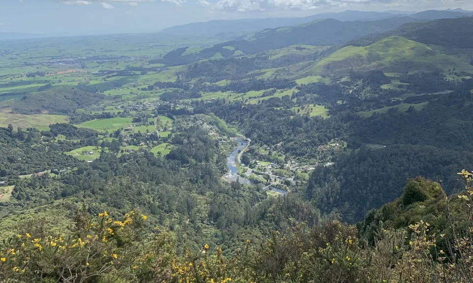 Karangahake Gold, Waikato