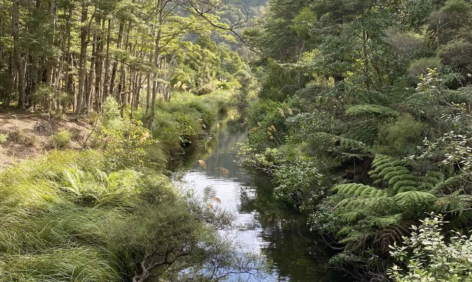 Butterfly Creek Loop, Wellington