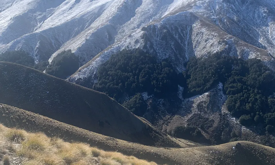Dromedary Hill
