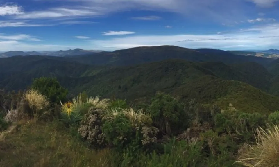 Green Hill via Swampy, Otago