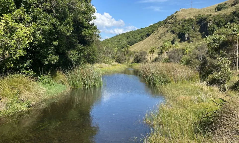 Lake Okareka Walkway, Bay of Plenty