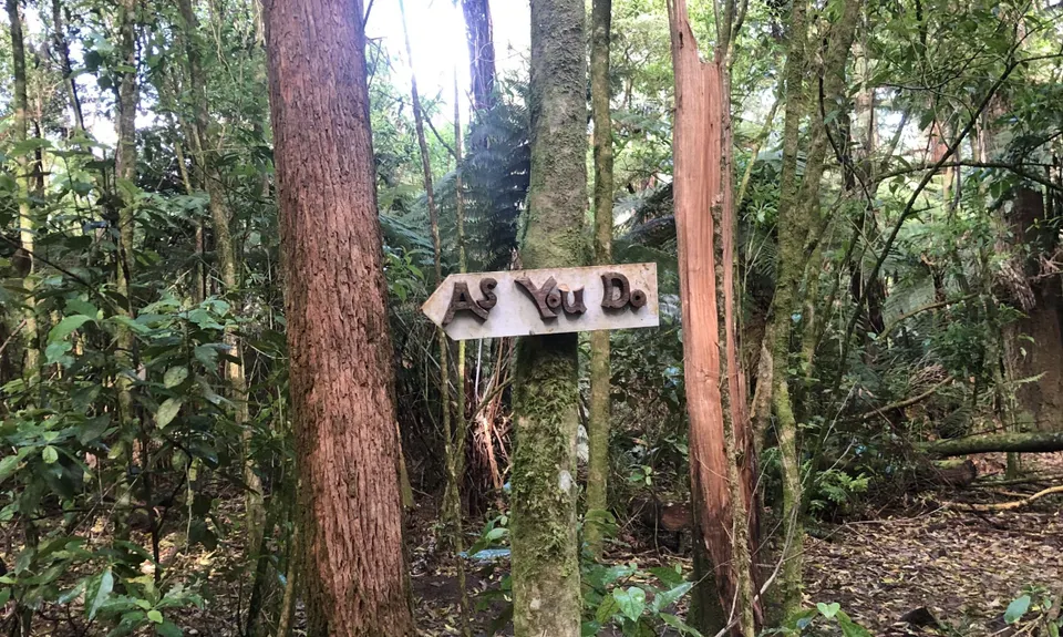 As You Do Loop, Bay of Plenty