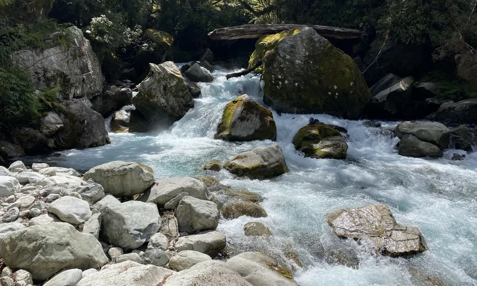 Lake Marian Meander, Southland