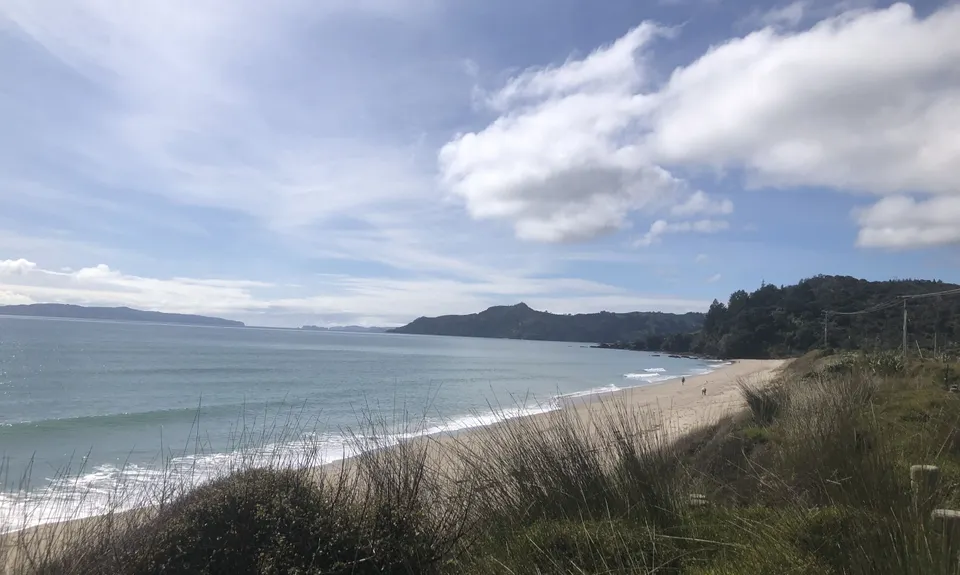 Matarangi & Rings Beach Loops, Waikato