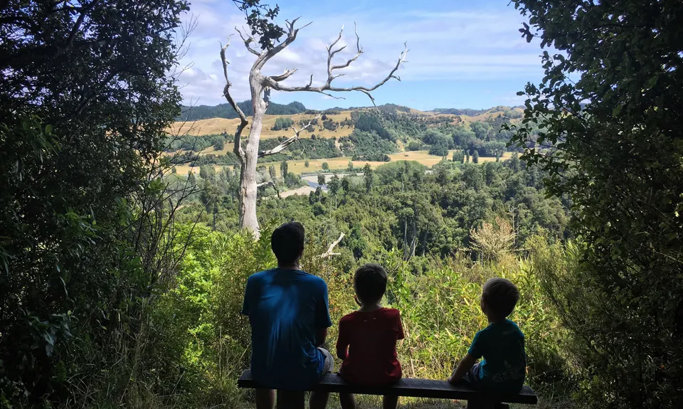 Fern Loop, Manawatu - Wanganui