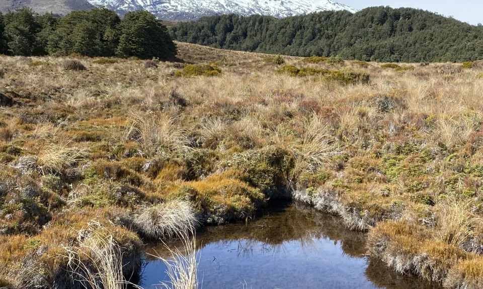 Silica Rapids trail, Manawatu - Wanganui
