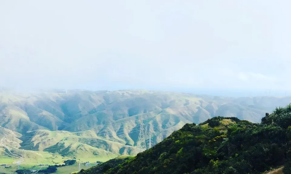 Makara Peak Grand Loop, Wellington