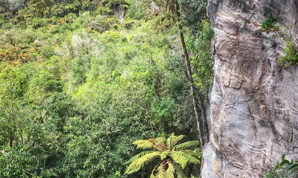 Tarawera Trail Route Recce, Bay of Plenty