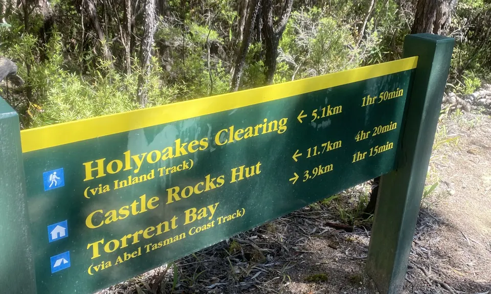 Abel Tasman Wander, Tasman