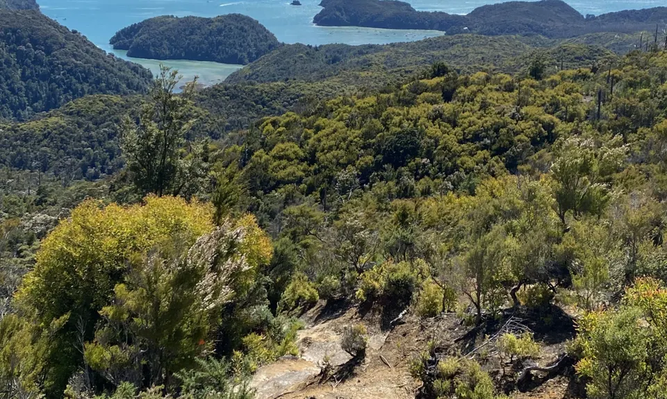 Abel Tasman Wander, Tasman