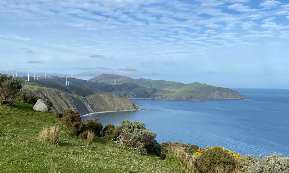 Makara Walkway, Wellington