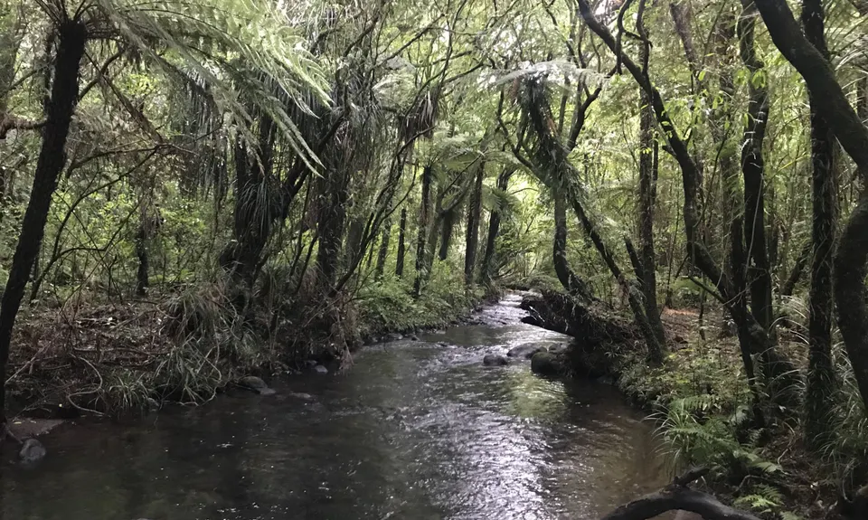 Meeting of the Waters, Taranaki