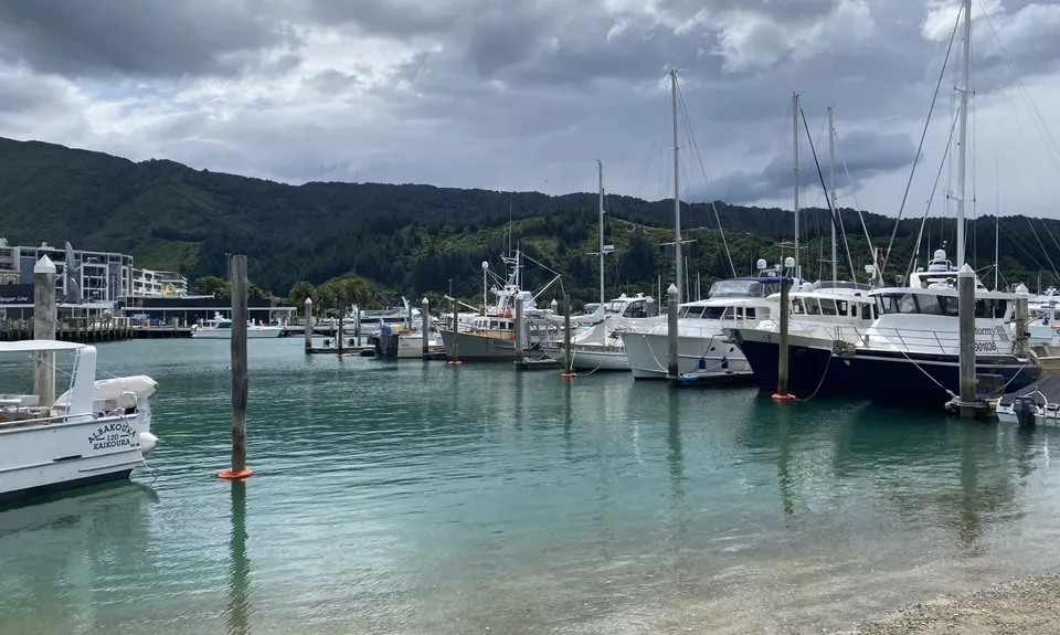 The Snout, Marlborough