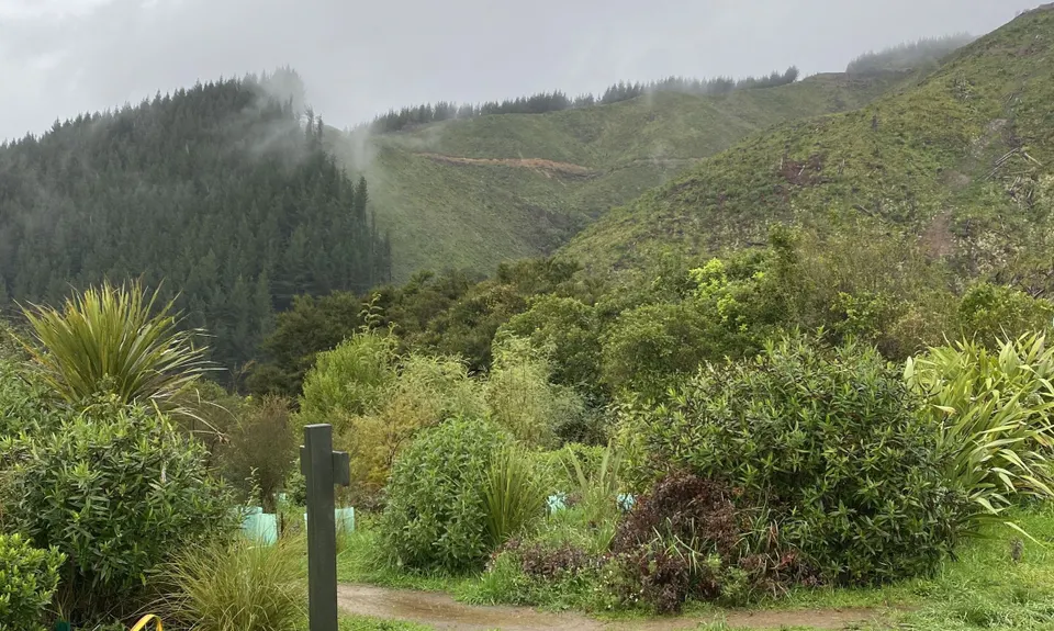 Jimmy Lee Creek, Tasman