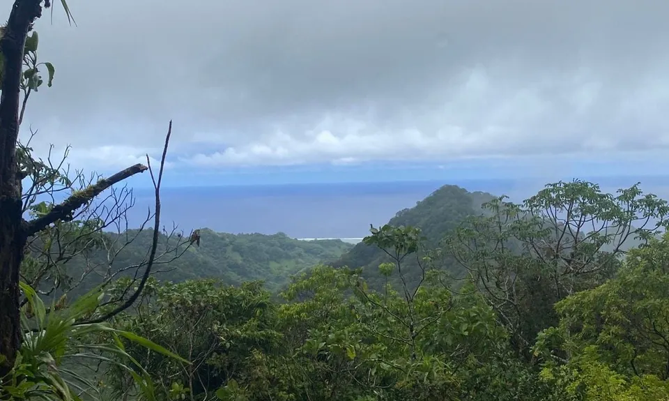 Across Island Trail, Cook Islands