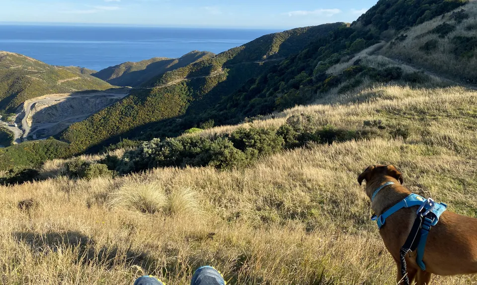 Aro Valley - Red Rocks Thigh Buster, Wellington