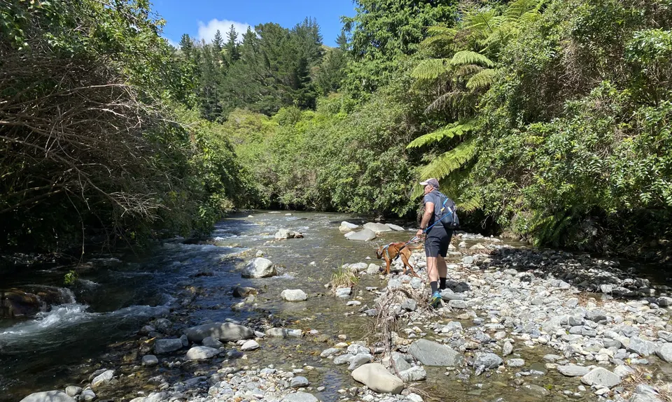 Kapakapanui Loop, Wellington