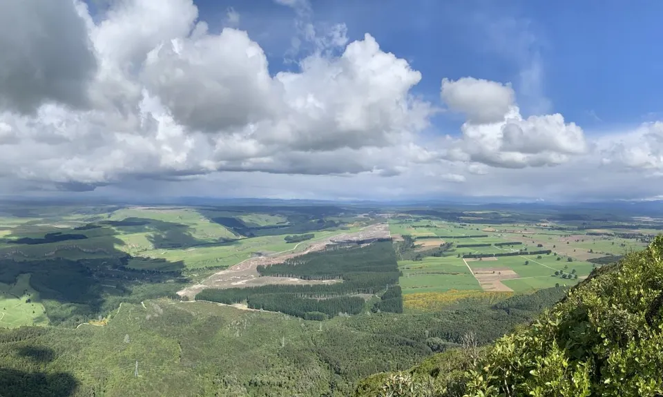 Tauhara Grunt, Waikato
