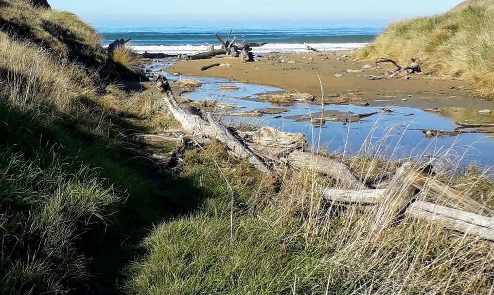 Tiromoana Track, Canterbury