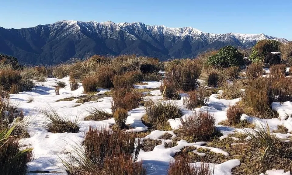 Kapakapanui Loop, Wellington