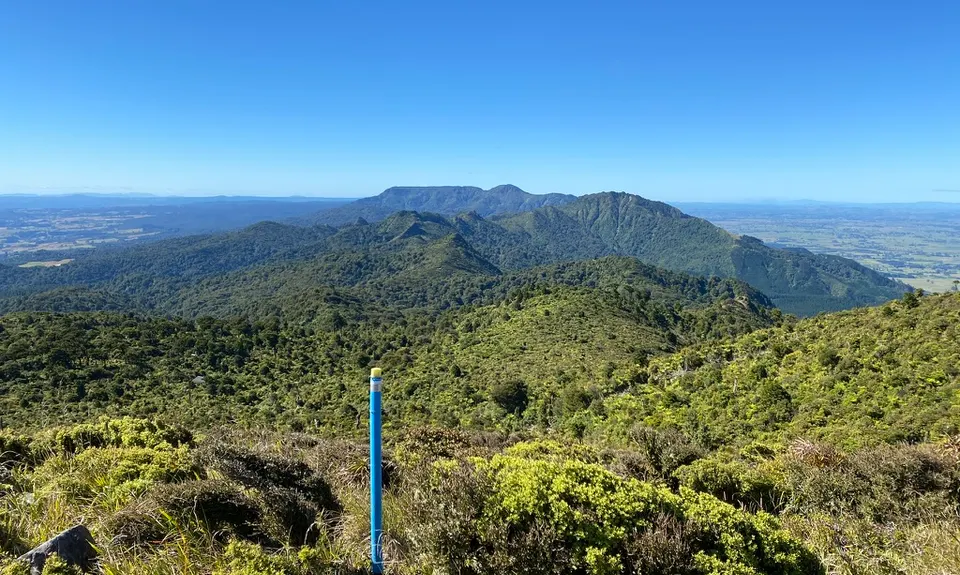 Kaimai Ridgeway, Waikato
