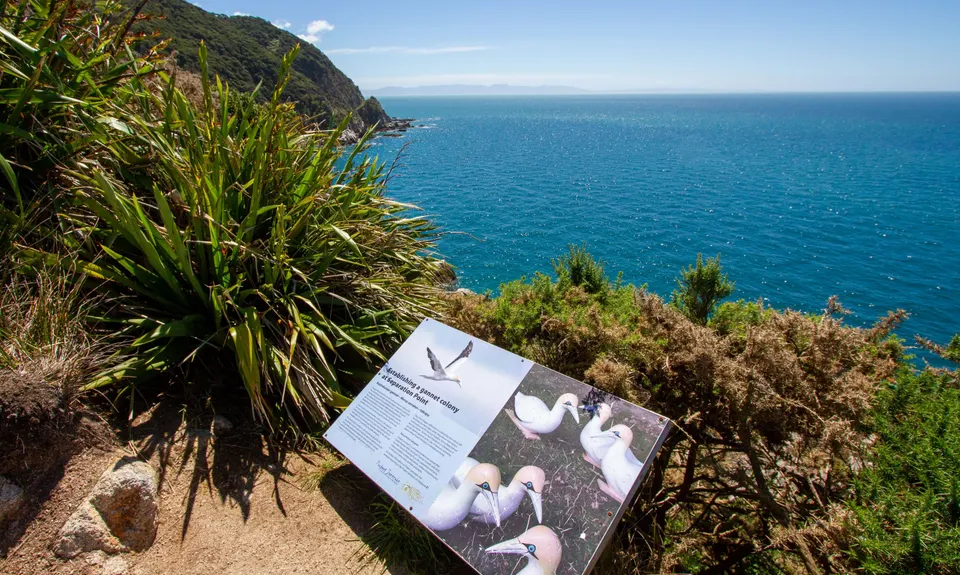 Separation Point Loop, Tasman