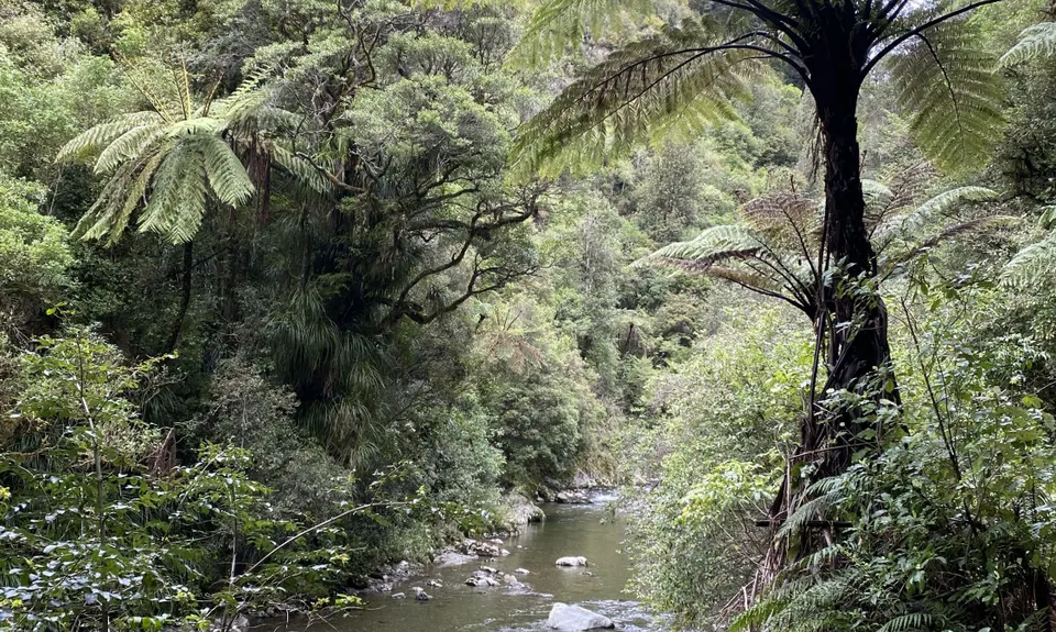 Karapoti Challenge, Wellington