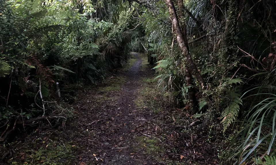 Point Elizabeth Track, West Coast