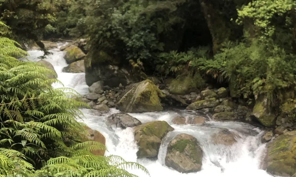 Lake Marian Meander, Southland