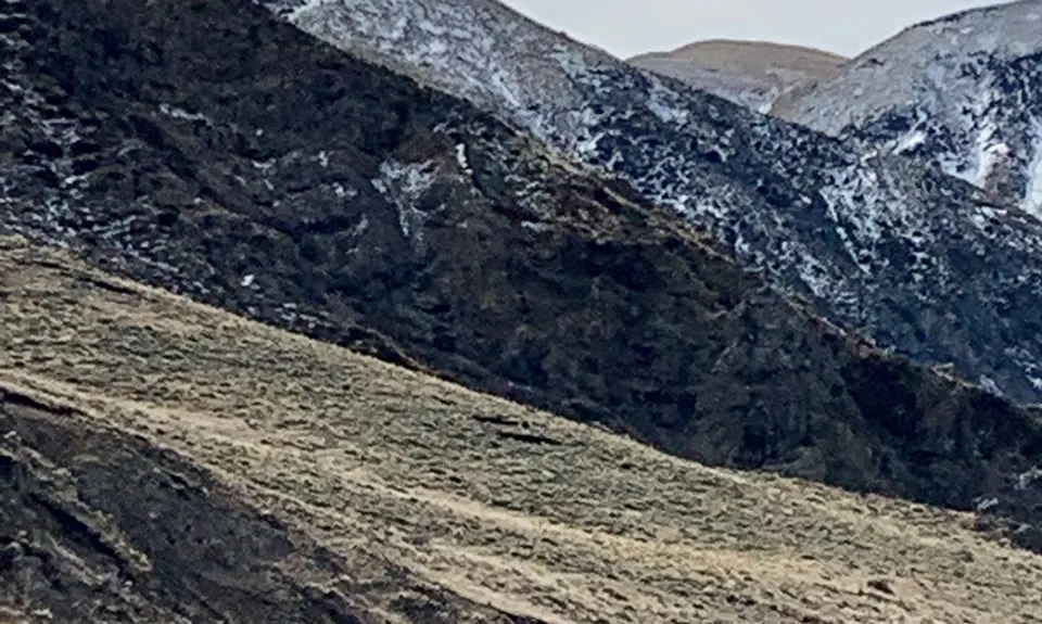 Mt Somers Woolshed Loop, Canterbury