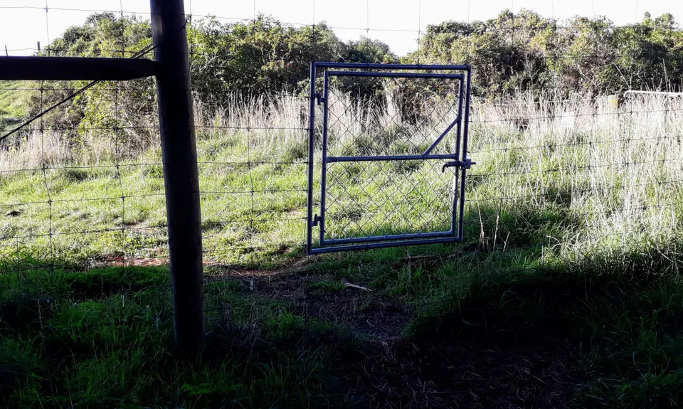 Tiromoana Track, Canterbury