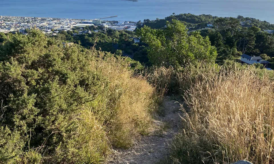 Sugarloaf and Waterfalls Loop, Wellington