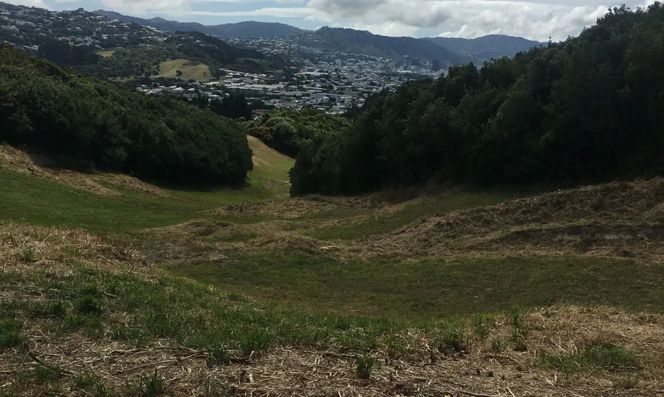 Southern Walkway, Wellington
