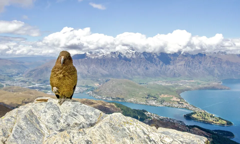 Ben Lomond via Tiki Trail, Otago