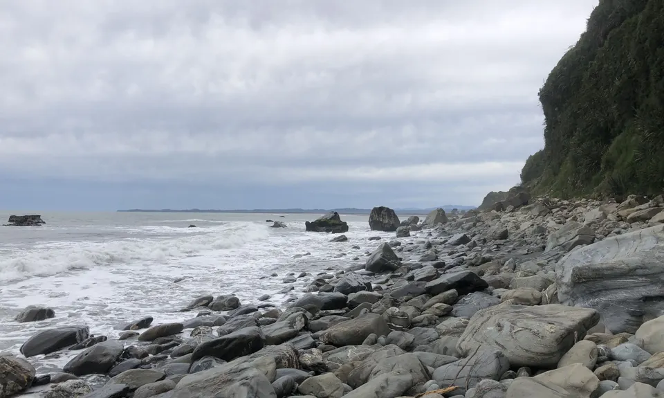 Okarito Majesty, West Coast