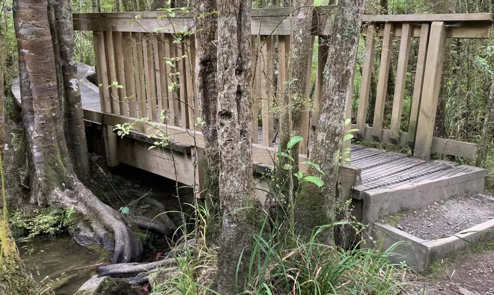 Centennial Park trails (Campbells Bay), Auckland