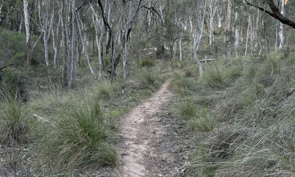 Ainslie Amble, Australian Capital Territory