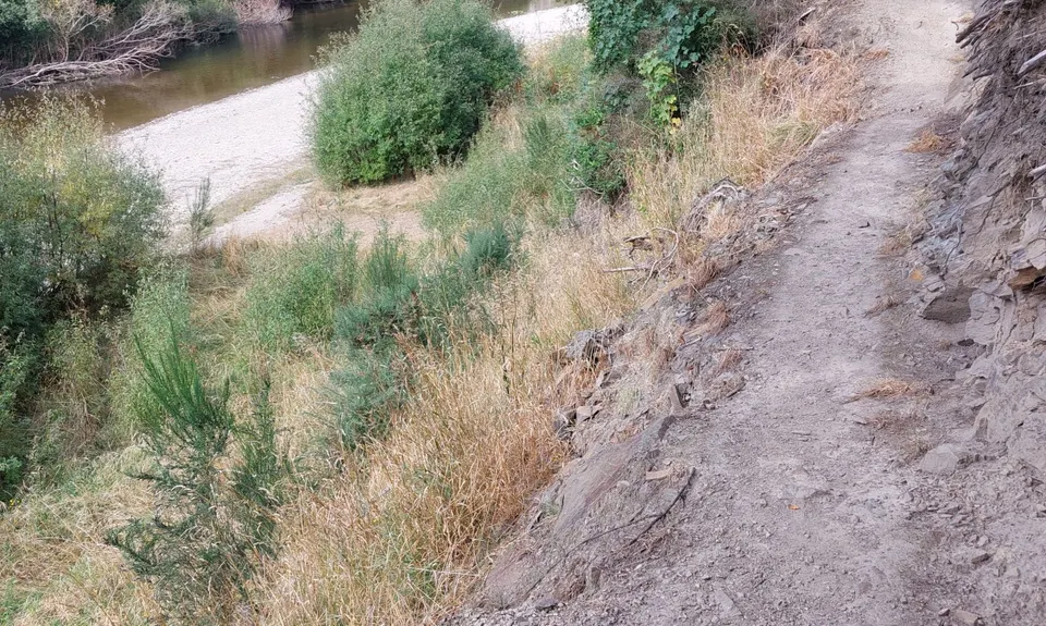 Along the Taieri, Otago
