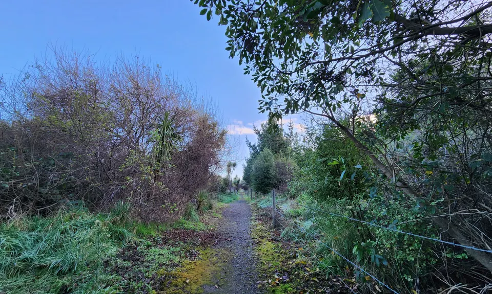 Amberley Beach, Wetlands Walkway to Waipara River Reserve, Canterbury
