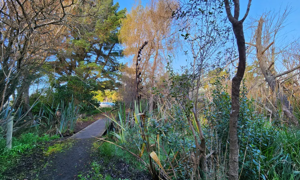 Amberley Beach, Wetlands Walkway to Waipara River Reserve, Canterbury