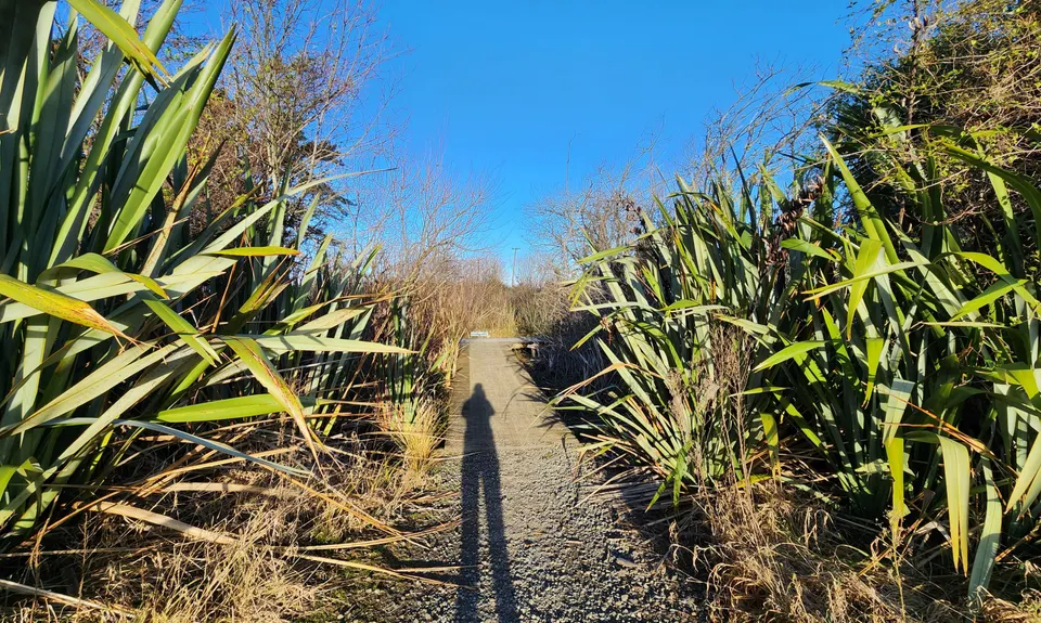 Amberley Beach, Wetlands Walkway to Waipara River Reserve, Canterbury