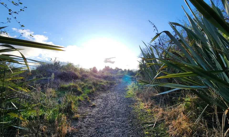 Amberley Beach, Wetlands Walkway to Waipara River Reserve, Canterbury