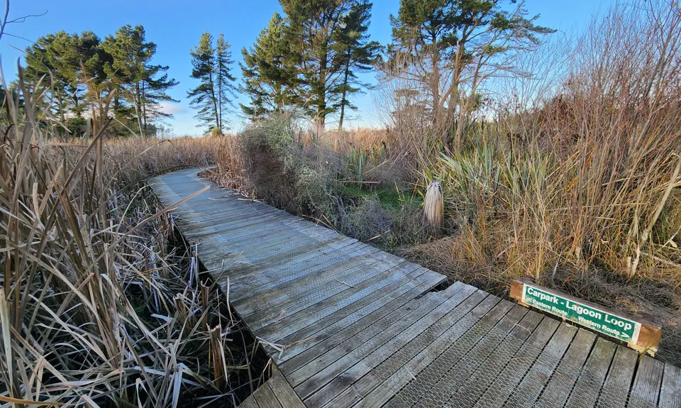 Amberley Beach, Wetlands Walkway to Waipara River Reserve, Canterbury