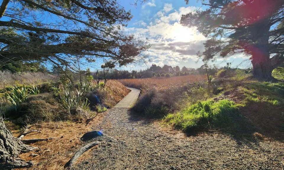 Amberley Beach, Wetlands Walkway to Waipara River Reserve, Canterbury