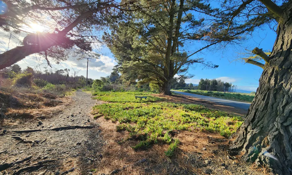 Amberley Beach, Wetlands Walkway to Waipara River Reserve, Canterbury