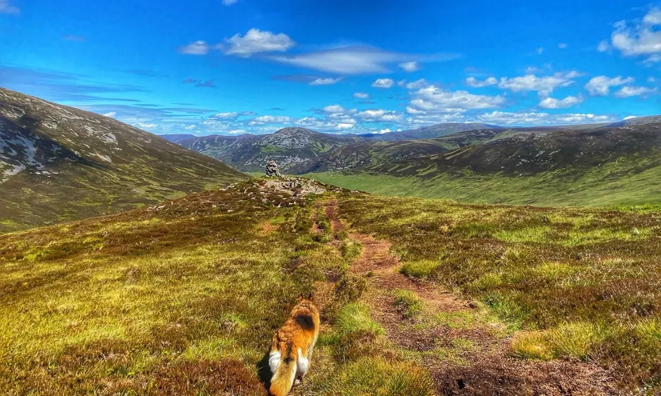 An Socach, Scotland