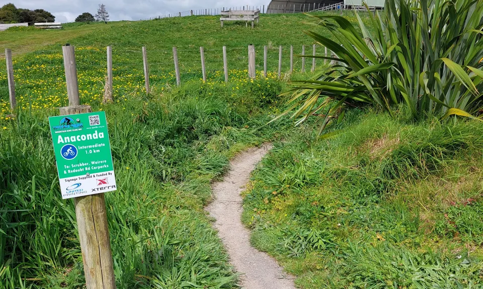 Anaconda Wanderer, Auckland