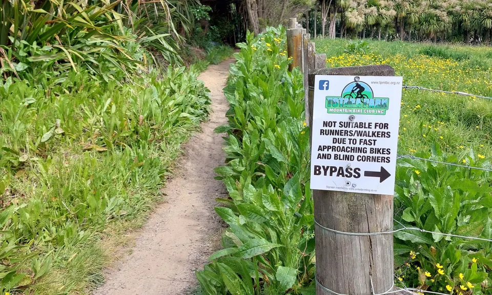 Anaconda Wanderer, Auckland